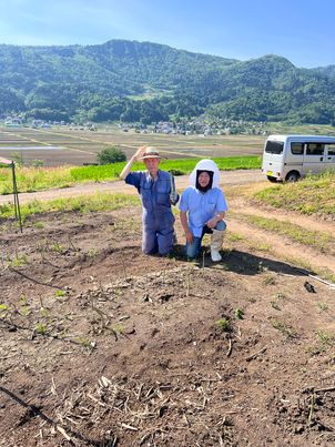 長野県飯山産　アスパラガス！！　～寝屋川　お米屋さん～